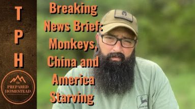 Breaking News Brief! Monkeys, China  and American Starving!