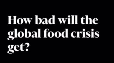 Food Shortages in September? Stock Up NOW