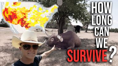 How Long Can We (SURVIVE)? ~ 2022 (DROUGHT) ~  Beef Crisis ~ Saving Our Cows