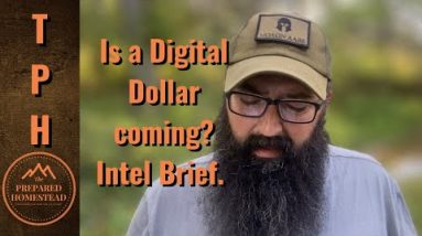 Is a Digital Dollar coming? Intel report.