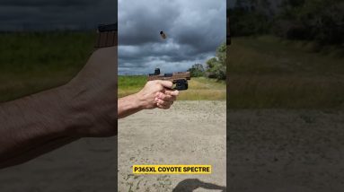 P365XL Coyote Spectre Slow Motion #shorts #slowmo #sigsauer