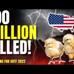 Pay Attention !! Food Shortages Empty Shelves 2022 | Prepping for SHTF 2022