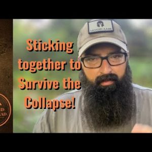 Sticking together to survive the Collapse!