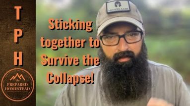 Sticking together to survive the Collapse!