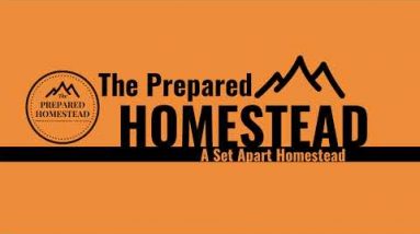 Livestream! Dollar Rising, Everthing else is Crashing!!