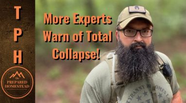 More experts warning of total collapse.