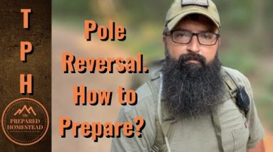 Pole Reversal. How to Prepare.