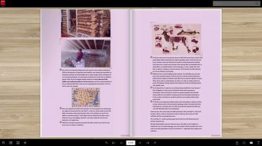 The Lost Ways 2 By Claude Davis - Flip It & Read It