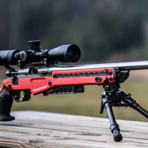TOP 10 Best 22LR Rifles & Handguns | Most Accurate .22 Guns