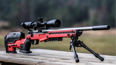 TOP 10 Best 22LR Rifles & Handguns | Most Accurate .22 Guns