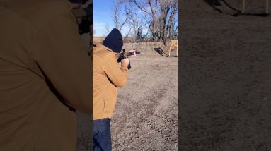 Wilson Combat Mag Dump #shorts #magdump