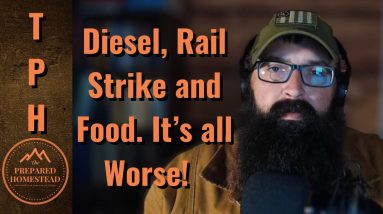 Diesel, Rail Strike and Food - it’s all Worse!