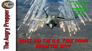 What Did The U.S. Take Down From The Sky?