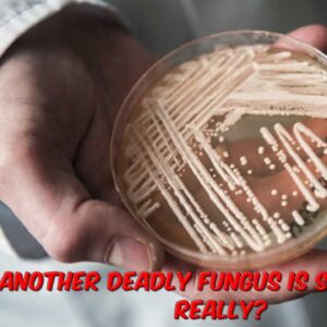 Another Deadly Fungus Is Spreading? Really!