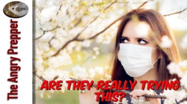 Are They Really Trying This?