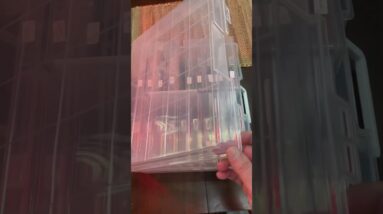 Storing and Organizing Seeds #preparedness #prepper # Gardening