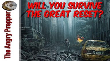 Will You Survive The Great Reset?