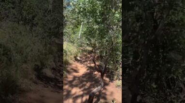 Day 2: Hike To Subway Tunnel Or Cave