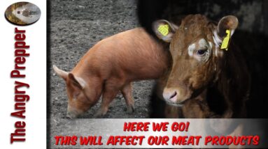 Here We Go! This Will Affect Our Meat Products