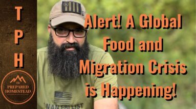 Alert! A Global Food and Migration Crisis is happening!
