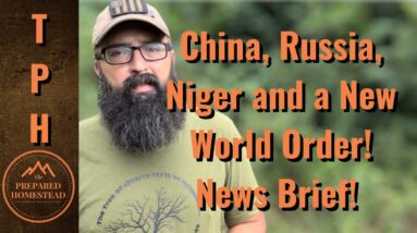 China, Russia, Niger and a New World Order. News Brief.
