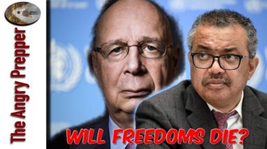 Is Their Plan Being Exposed?