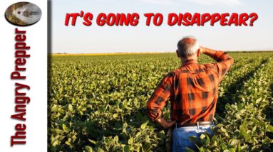 No More Food In 27 Years?