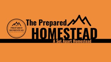 Sister KATE from VikingPreparedness and her new BOOK!