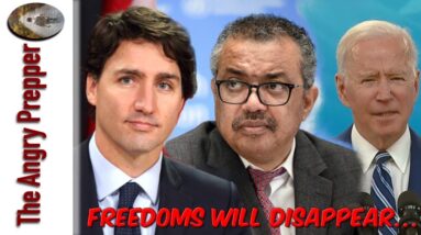 Their Plan Is Being Exposed...