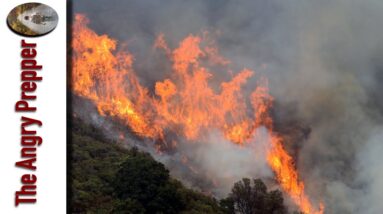 What Is Really Going On?