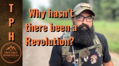 Why hasn’t there been a Revolution?