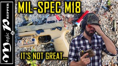 Military Contract Sig Sauer M18: What The Hell? (Romeo M17, LMD PAiL)