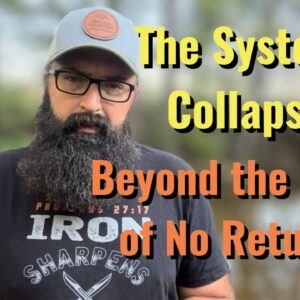 The Systemic Collapse - Beyond the Point of No Return!