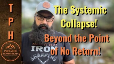 The Systemic Collapse - Beyond the Point of No Return!