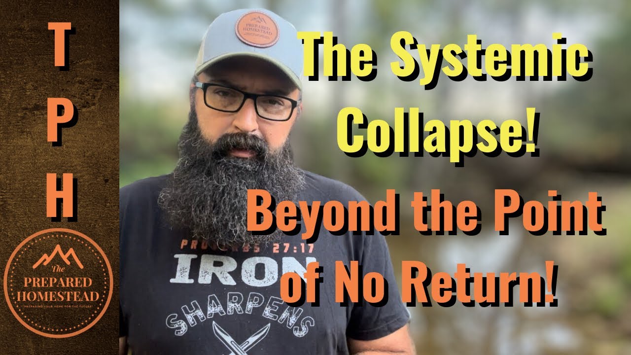 The Systemic Collapse: Reaching The Point Of No Return