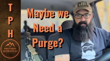 Maybe we Need a Purge?