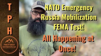 NATO Emergency/Russia Mobilization/FEMA Test All Happening at Once!