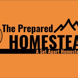 Saturday Night Livestream with Travis