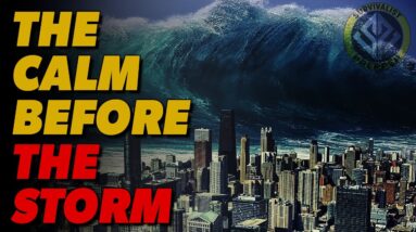 The Intentional Destruction of America as We Know It