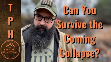 Can you Survive the Coming Collapse?
