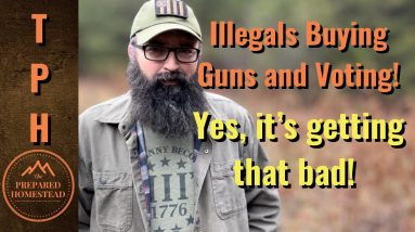 Illegals Buying Guns and Voting. Yes, it’s getting that bad!