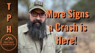 More Signs a Crash is Here!