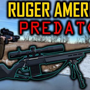 My "Budget" Long Range Rifle Project: Can It Get It Done?