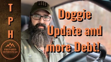 Doggie update and more Debt!