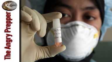 Is A Troubling Future Ahead?