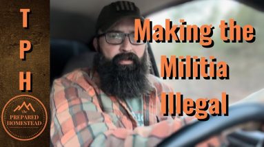 Making the Militia Illegal