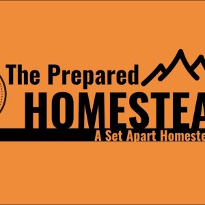 Saturday Night Livestream with Travis!