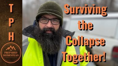 Surviving the Collapse Together.