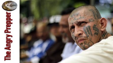 Should We Be Worried?