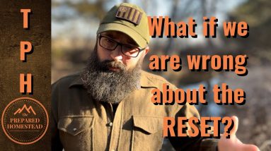 What if we are wrong about the RESET?